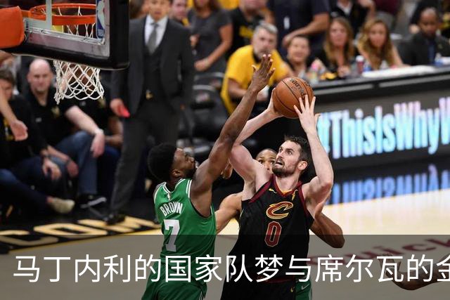 马丁内利的国家队梦与席尔瓦的金玉良言